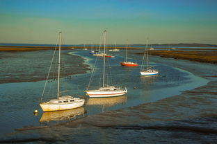 爱游戏在线-兴隆湖上演“国际艇战”，多国精英争锋